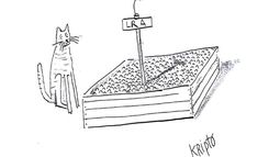 Humor