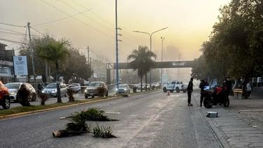 El motociclista chocó contra una palmera del cantero central de la ruta 25.