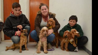 Castraciones en Los Cachorros