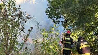 bomberos combatieron el incendio de un campo en del viso