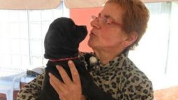 Cuidar a la mascota es amarla