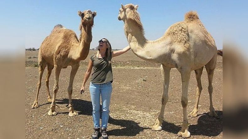 DESIERTO. Florencia entre dromedarios. Dice que la ciudad experimentó un boom en cinco años..