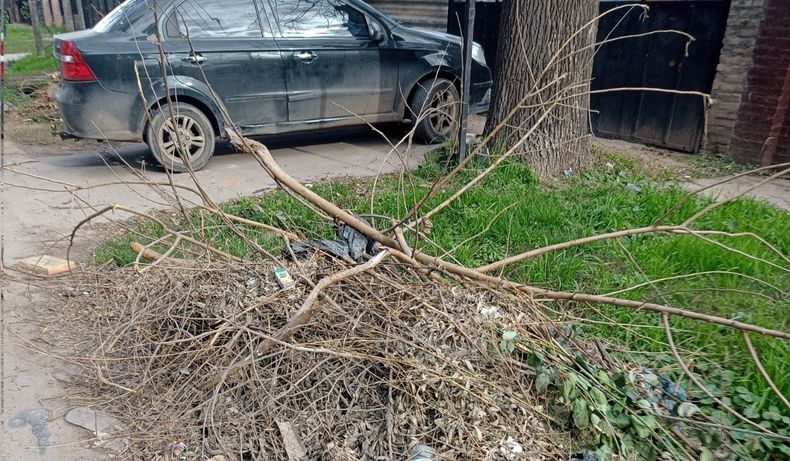 Meses reclamando a #MiMuni para que junten ramas, destapen zanjas y arreglen luminarias en Teniente General Juan Domingo Perón, entre Alerces y Casuarinas, Manuel Alberti. Sigue funcionando esto @MunicipioPilar @FedericoAchaval? Pablo Sabbath / @Pabloklos.