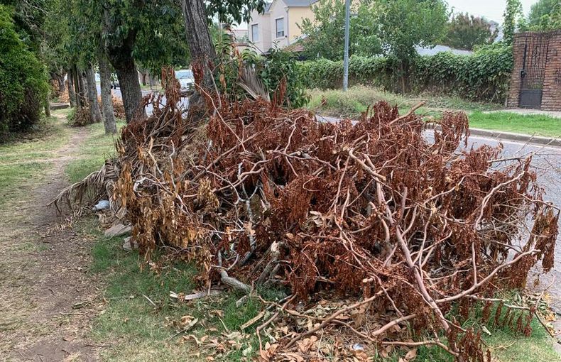 foto lectotres WEB.jpg