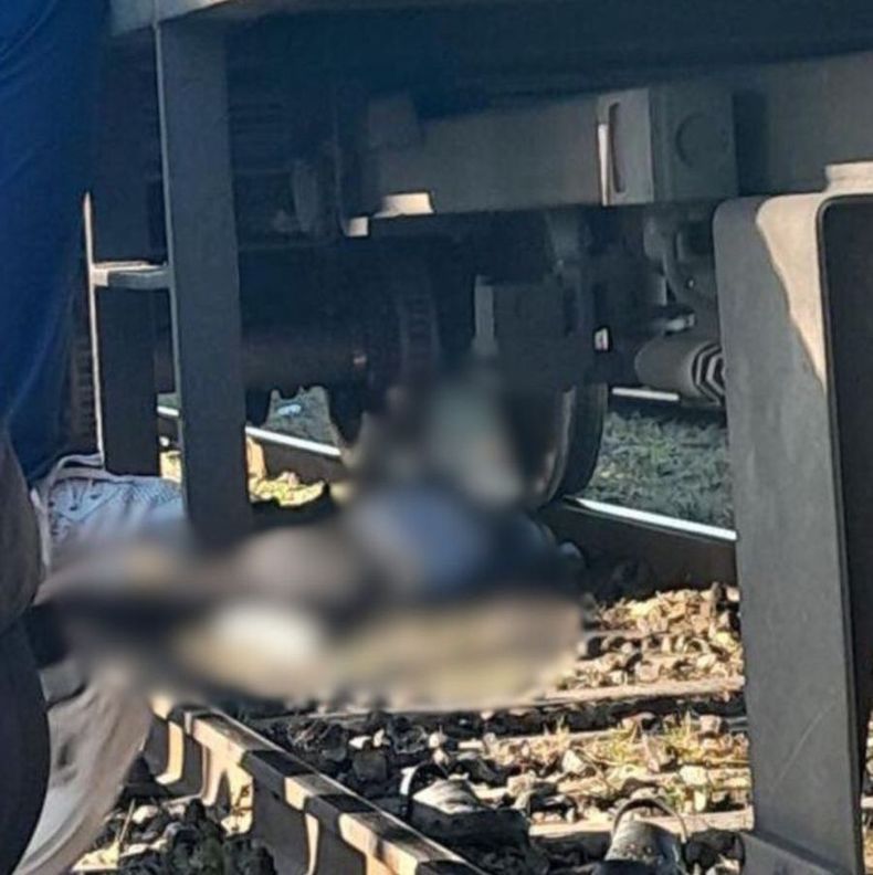 El accidente ocurrió a la altura de la estación William Morris.