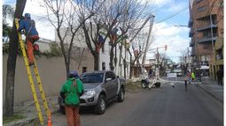 EN LA CALLE. Los contratos finalizados estaban destinadosa la poda..