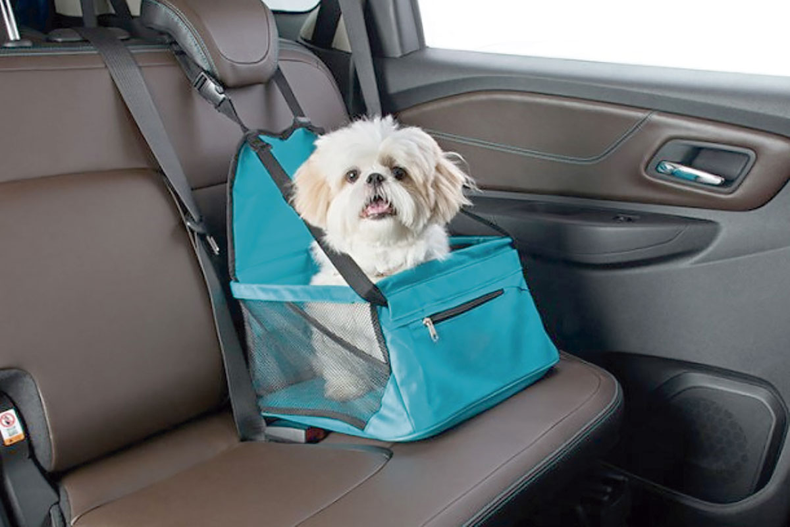 Transportadoras para llevar perros pequeños y gatos. (La Nación)..png