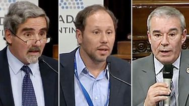 EDUARDO VALENTI: “El debate no es aborto sí o aborto no, el debate es aborto seguro o aborto inseguro”.ERNESTO BERUTI: “Mi convicción nes por haber comprobado que la vida humana está allí presente desde el inicio”.ADOLFO ETCHEGARAY: “El límite de la semana 14 es absolutamente arbitrario, no se condice con ningún hito biológico”..