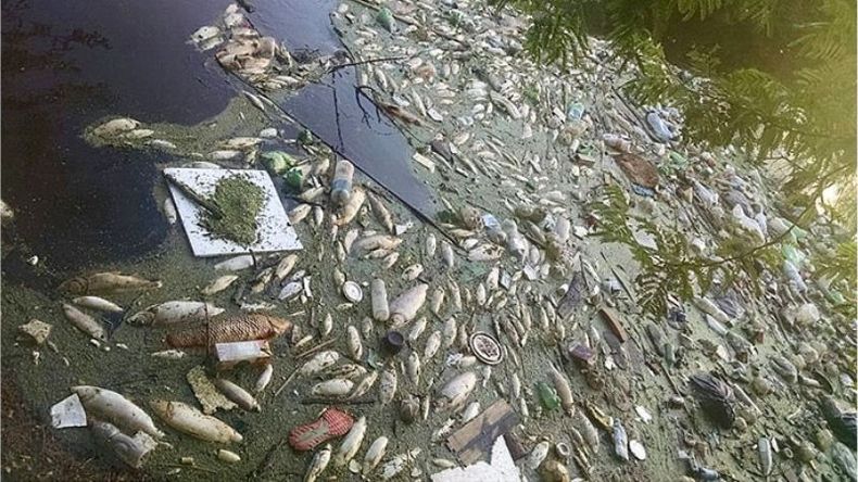 CONTAMINADOS. Una vez más la postal de fin de año se repite en el Luján..