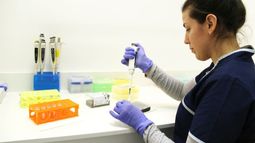LABORATORIO. El kit comenzó a desarrollarse ni bien se declaró la pandemia. Se producirán 100 test por semana. .