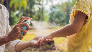 ¡Repelentes caseros para los mosquitos!