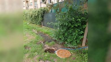 Quería saber cómo publicar una foto en carta de lectores. Somos vecinos del barrio Buen Amigo, linderos al condominio VA Pilar, el cual tira desechos cloacales en la zanja hace años y ya estamos cansados. Les agradecería de corazón si pueden publicar la foto que les envío. Muchas gracias! Hernán Macías. .