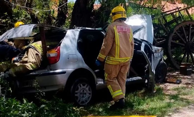El auto se estrelló contra un árbol tras quedarse sin frenos.