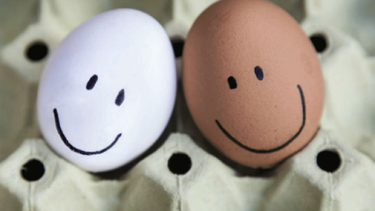 ¿los huevos se guardan dentro o fuera de la heladera?