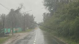 El poste cayó en la calle Sor Teresa, del barrio Carabassa.