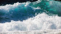 ¿Qué es la espuma que se ve en el mar? ¿Por qué se forma?
