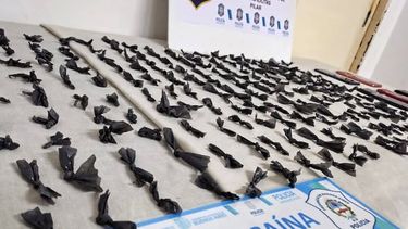 LISTA PARA LA VENTA. La policía incautó 241 dosis de cocaína.