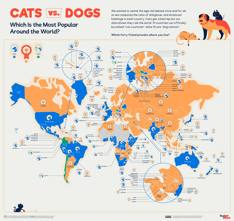 Perros vs. gatos. Foto. Budget Direct Pet Insurance.webp