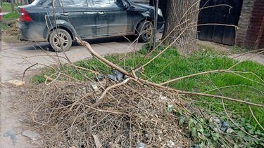 Meses reclamando a #MiMuni para que junten ramas, destapen zanjas y arreglen luminarias en Teniente General Juan Domingo Perón, entre Alerces y Casuarinas, Manuel Alberti. Sigue funcionando esto @MunicipioPilar @FedericoAchaval? Pablo Sabbath / @Pabloklos.