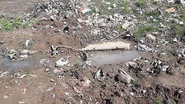 AGUAS SERVIDAS. Las cloacas se desbordan y hay ratas, denuncian los vecinos..