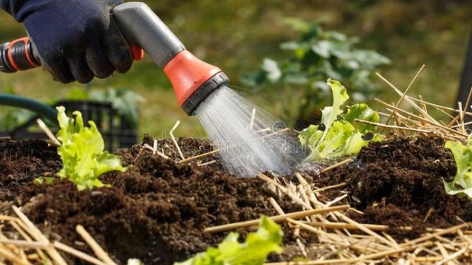 Tareas para la huerta con la llegada del invierno