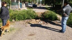 Entre matorrales, el Burgueño se abre paso en la calle Sanguinetti..