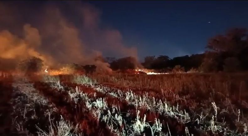 El incendio más reciente tuvo lugar ayer en un predio ubicado sobre la Ruta 25.