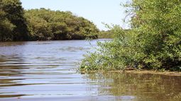 TRAVESÍA. La ribera del río Mirinay por la que nadarán los representantes pilarenses.
