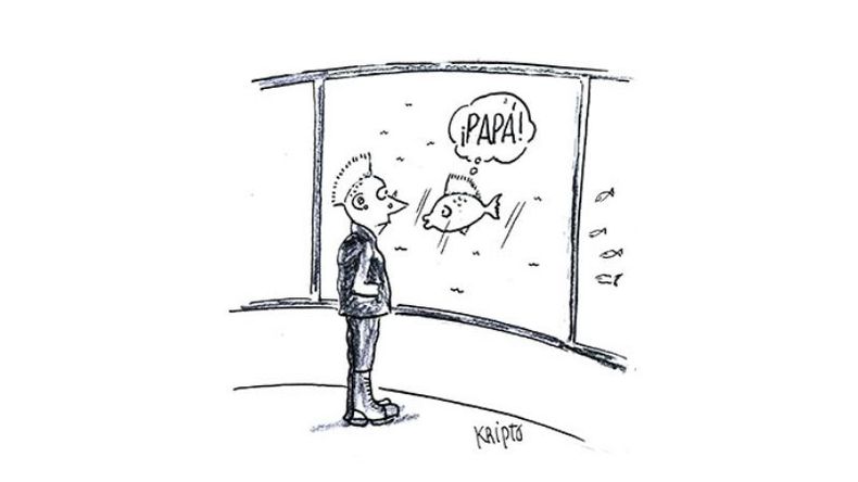 f800x450 63796_115242_5050.jpg