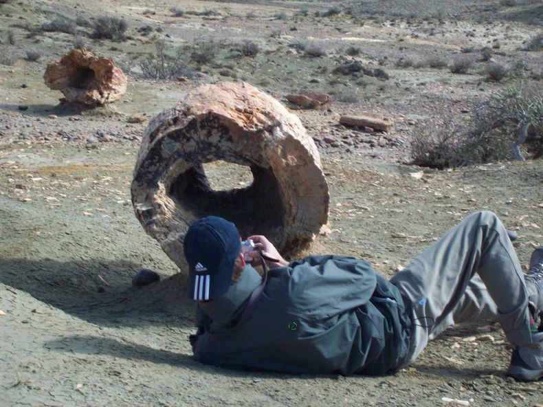 Fotografiar el espectacular bosque petrificado. (blogspot.com)..JPG