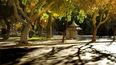 La máxima, durante todos los días de esta semana, será de al menos 17°C en Pilar según anticipa el SMN. Se acerca la primavera, sin precipitaciones.