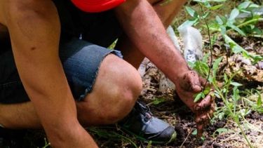 La plantación de nativas está abierta a toda la comunidad.