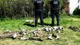 RESTOS ÓSEOS. Fueron hallados en uno de los allanamientos.