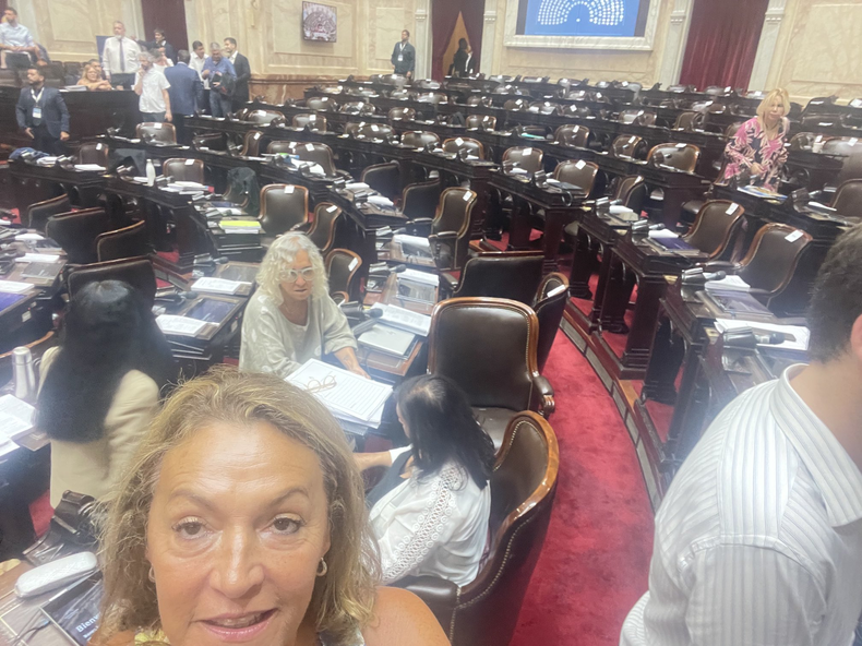 ESPERA. La diputada pilarense Marcela Campagnoli (CC) posteó esta foto antes del inicio del primer día de sesiones en la Cámara de Diputados para debatir la ley ómnibus.