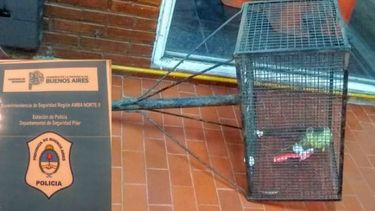 robaba canastos de basura y despues los vendia
