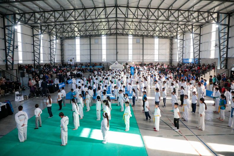 Liga Municipal de Taekwondo 5.jpg