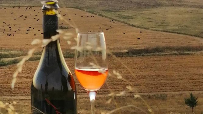 La Ruta del vino en la Provincia de Buenos Aires