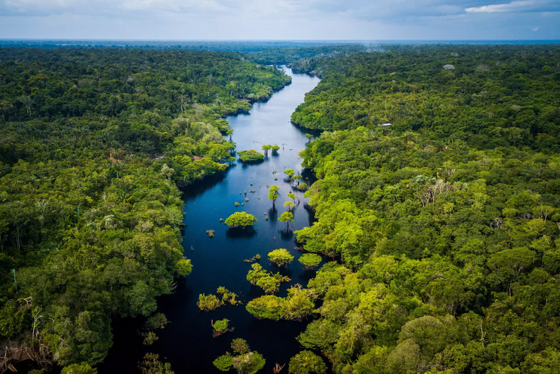 El Amazonas es la selva tropical más grande. (Meteored)..png