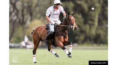 La acción en Pilar..