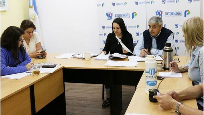 DEBATE. El proyecto se aprobó en comisión. .