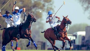 TÍTULO. Ellerstina va por el bicampeonato del Tortugas CC. (FOTO: MATÍAS CALLEJO - AAP)..