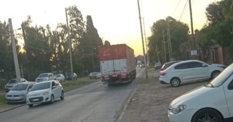 El camión de Andreani que habría protagonizado el accidente fatal.