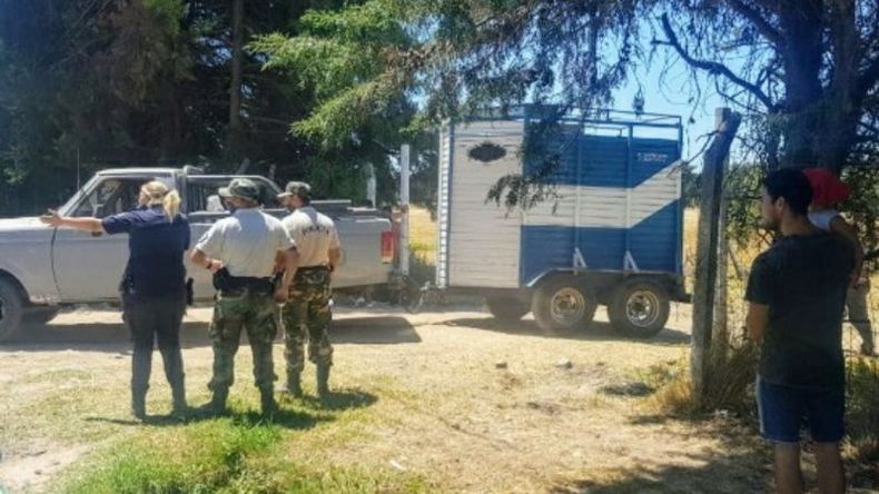 La fiesta gaucha se estaba desarrollando en un predio de Manuel Alberti, organizada por un hombre de 33 años. .