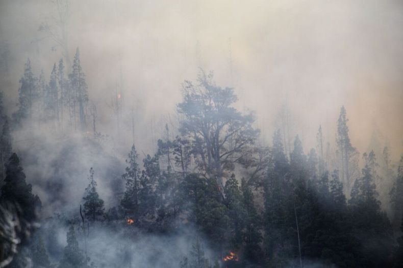 INCENDIOS FORASTALES. Es grave la situación en Bolivia y Brasil.