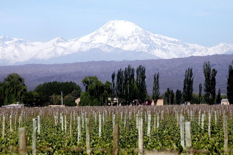 Chacras de Coria en Mendoza. (expedia.com)..jpg