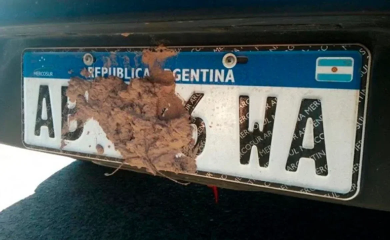 EN FALTA. La escasez de chapas patentes obligó a extender el uso de las provisorias.