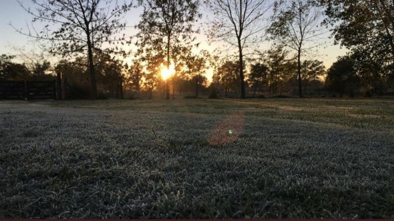 La primera helada de Manzanares. La foto fue tomada por Matías Zugasti, vecino de la localidad. .
