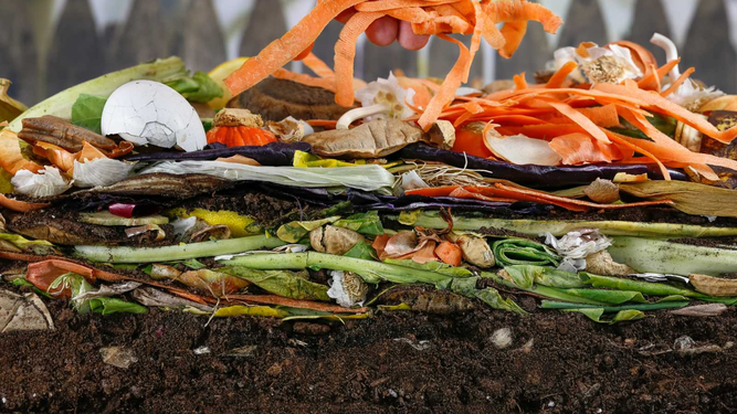 Aprendé a hacer compost en tu casa y convertí la basura en vida