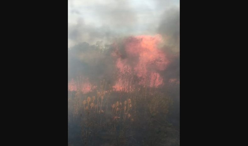 Casi 20 hectáreas se quemaron en la localidad de Manzone en un impactante incendio.