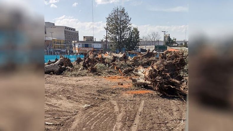 Realmente triste cómo preservaron el espacio verde para la reforma de la estación José C Paz. También me gustaría comentar que los guardas del Andén 2 me pidieron “poco amablemente” que no tomara fotos. El gendarme se quedó callado. Micaela. .